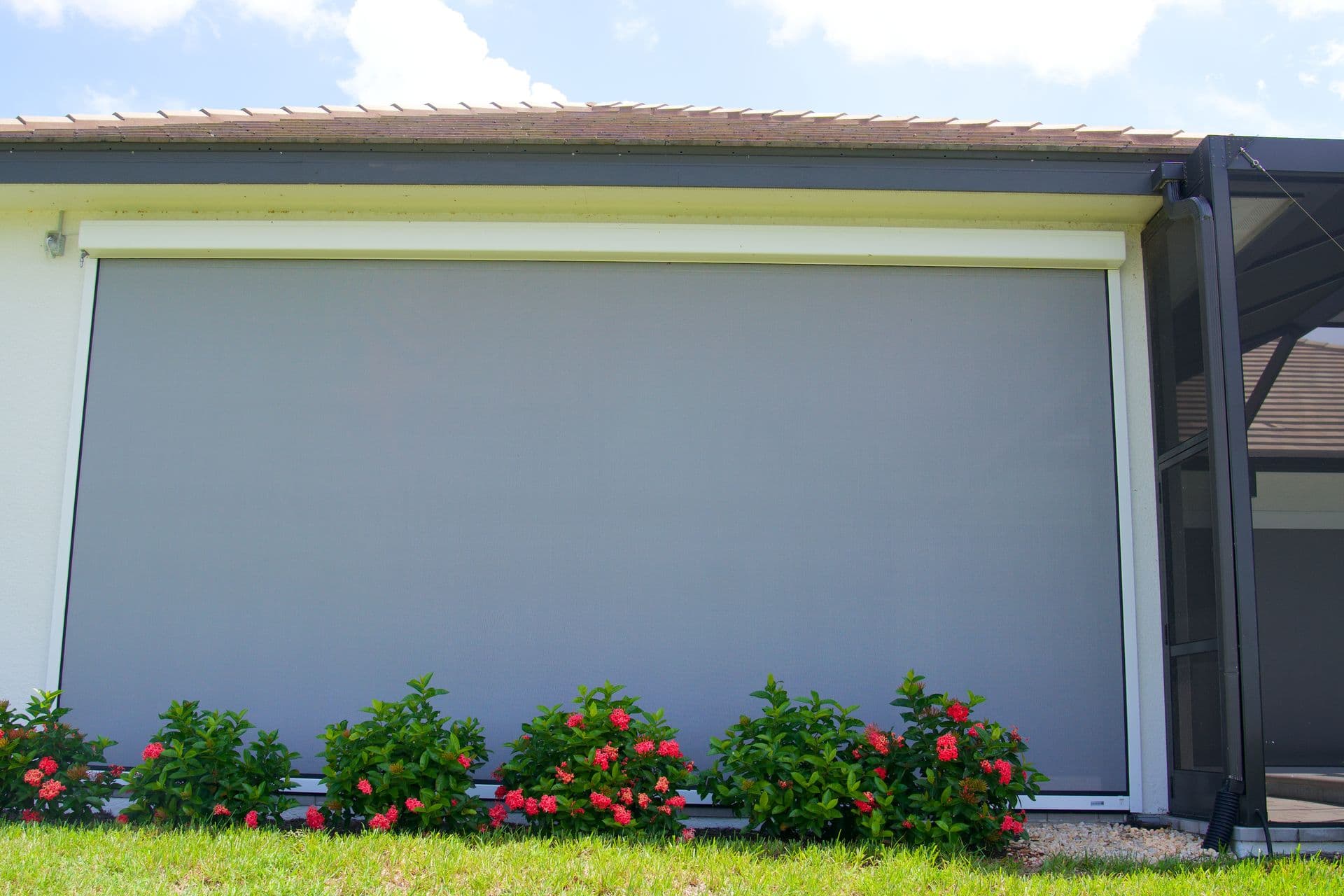 Closed gray roller shutter on a pale building, bordered by pink flowering shrubs and green grass under a bright blue, sunny sky.